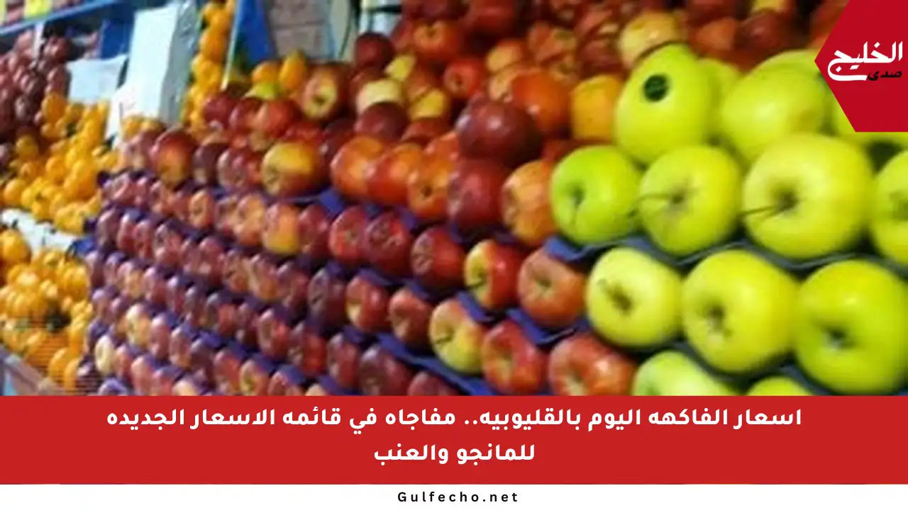 أسعار الفاكهة اليوم بالقليوبية.. مفاجأة في قائمة الأسعار الجديدة للمانجو والعنب